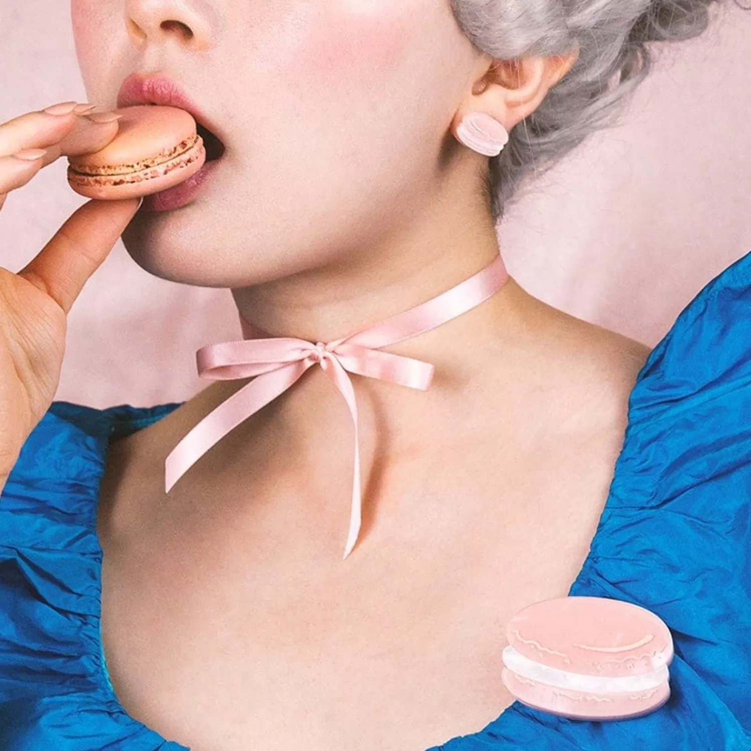 Magnifique Macaron Brooch*Erstwilder Online