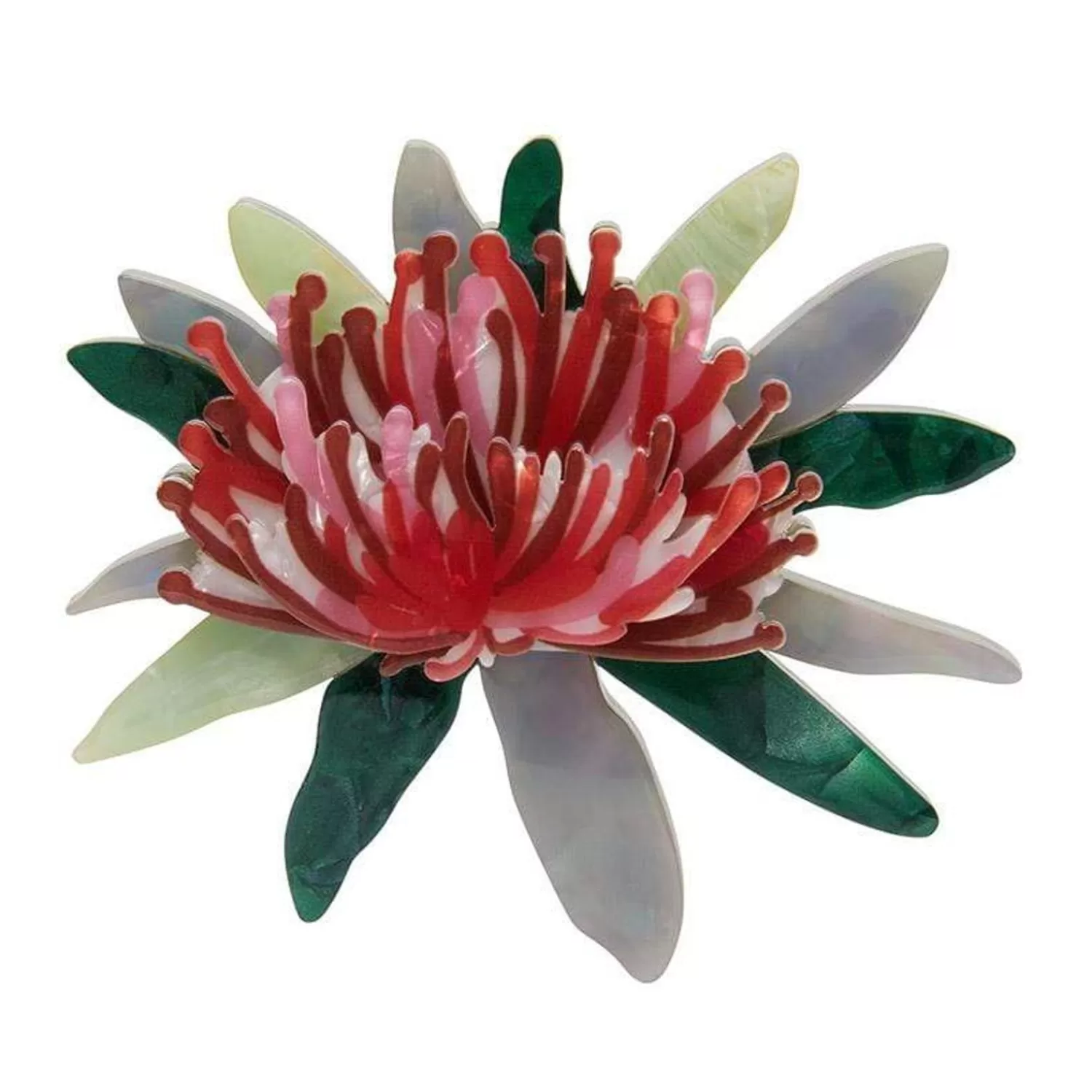 Waratah Warmth Brooch*Erstwilder Store